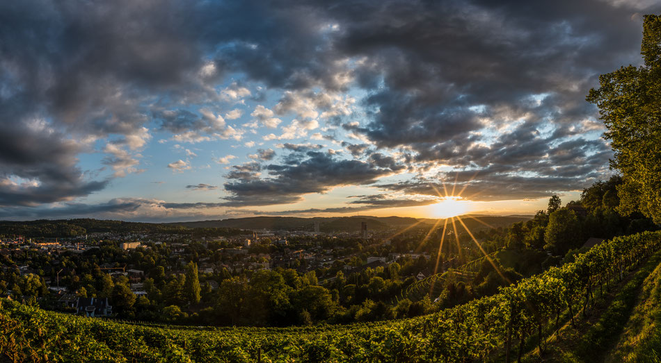 Goldenberg Winterthur