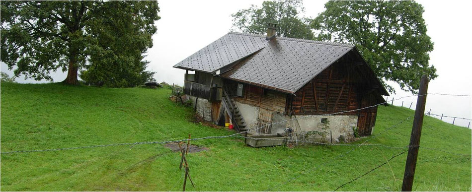 kochen auf der alp