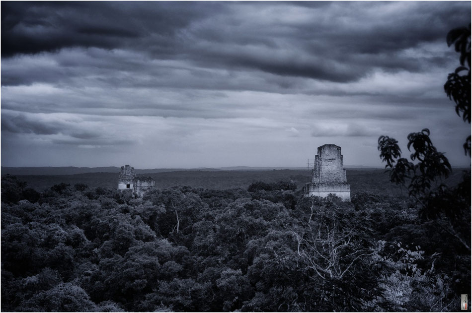 Tikal (Guatemala) / 2012