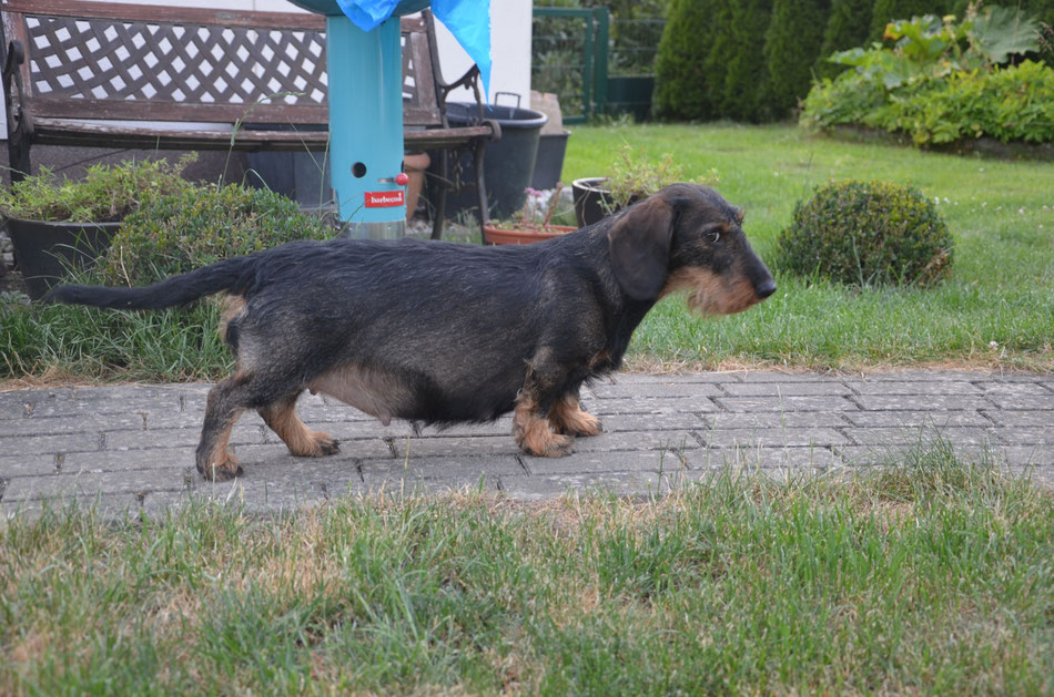 "Boah, musst du mich ständig mit dem Babybauch fotografieren?"