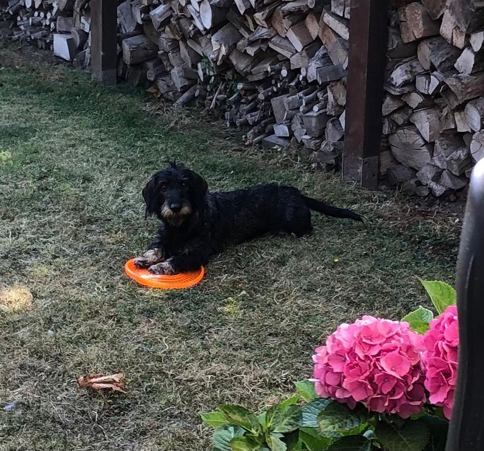 Donna Lotta mit ihrem Lieblingsspielzeug