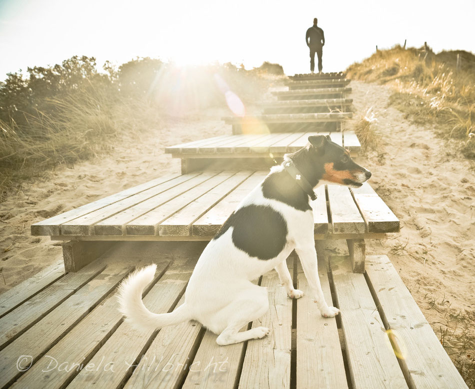 Sylt 2011