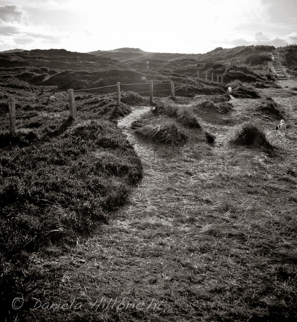 Sylt 2011