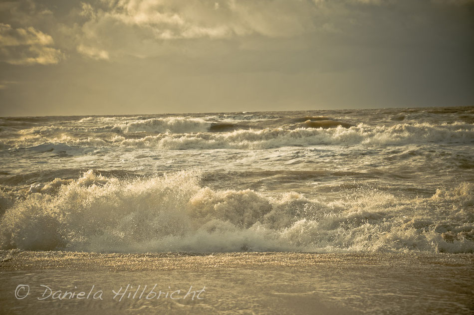 Sylt 2011