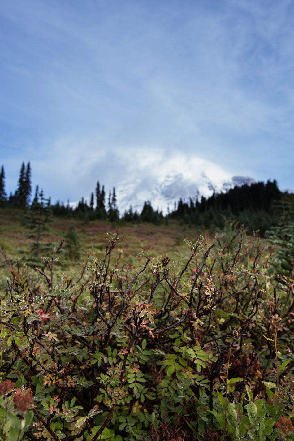 Mount Rainier, Washington