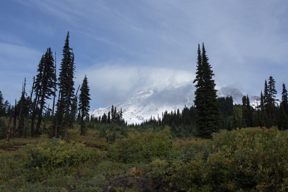 Mount Rainier, Washington