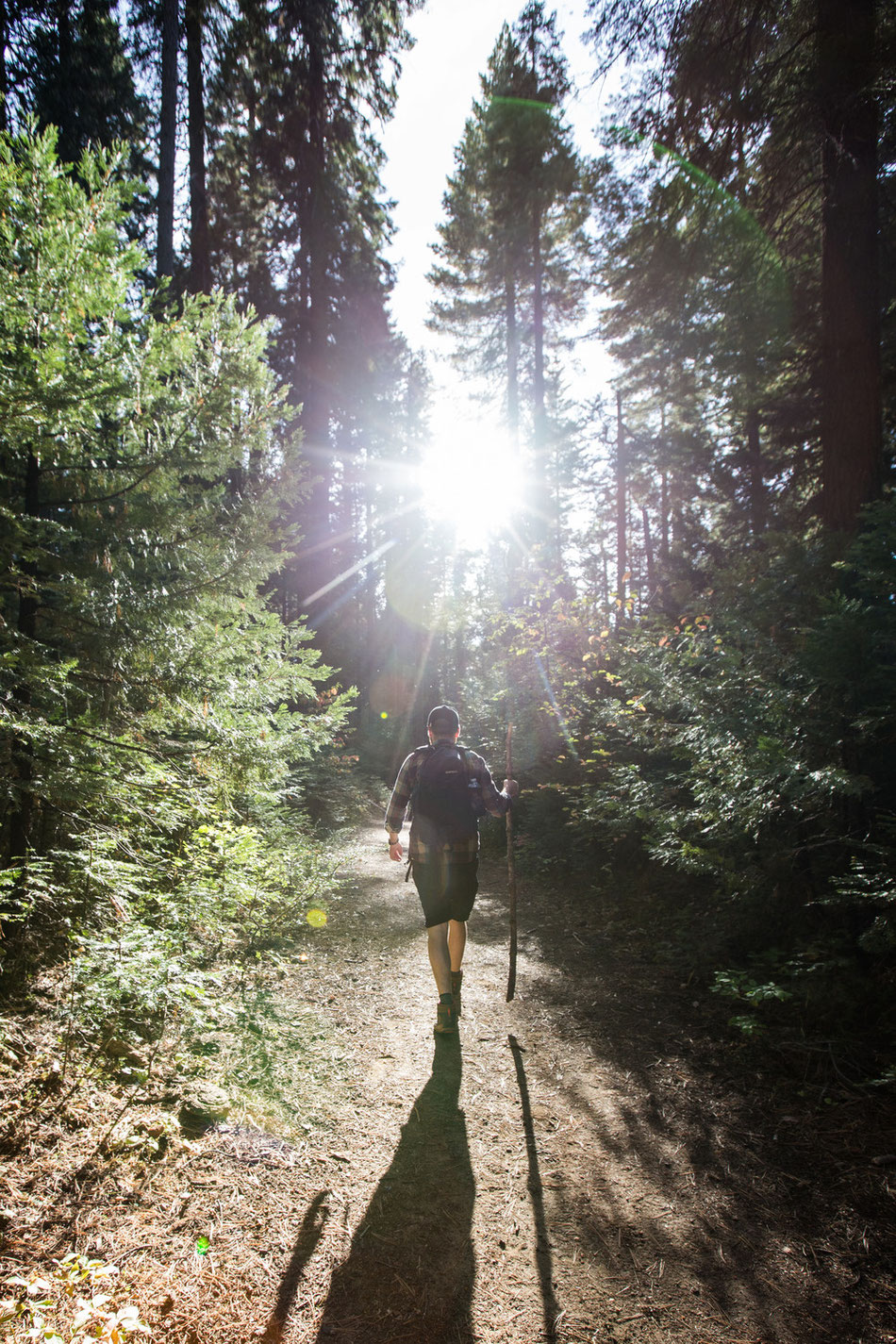 Wandern in der Nähe des Yosemite National Parks