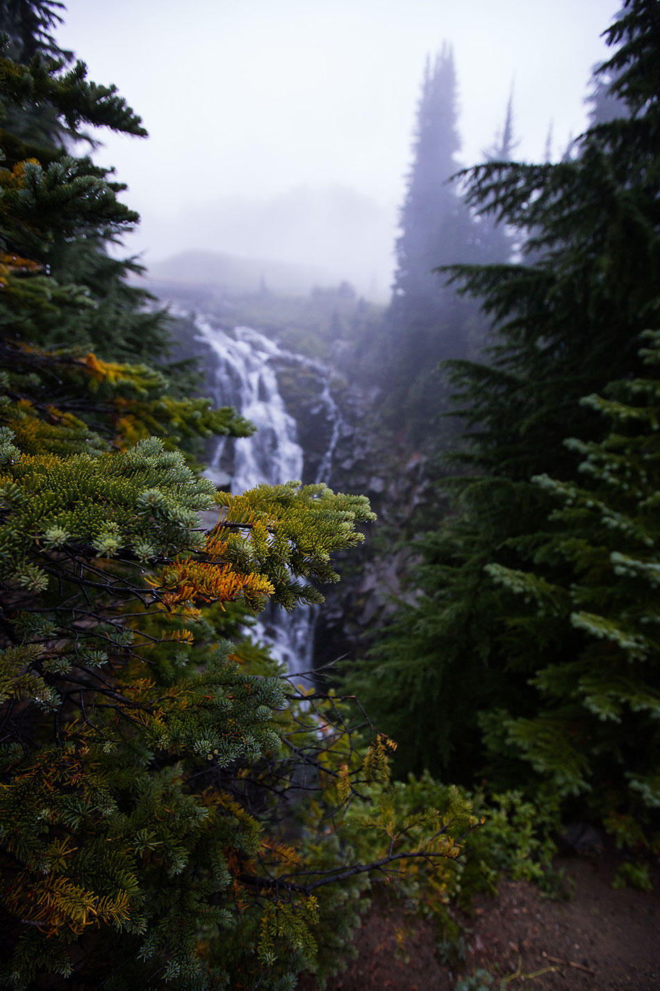 Mount Rainier, Washington