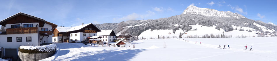 haus-zobls Webseite!