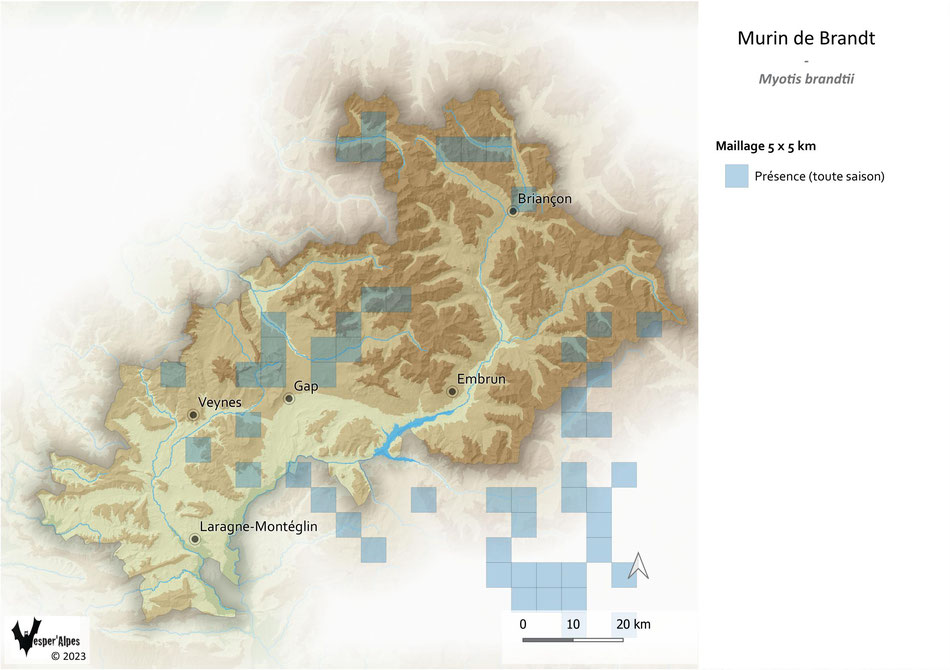 Répartition du Murin de Brandt dans les Hautes-Alpes