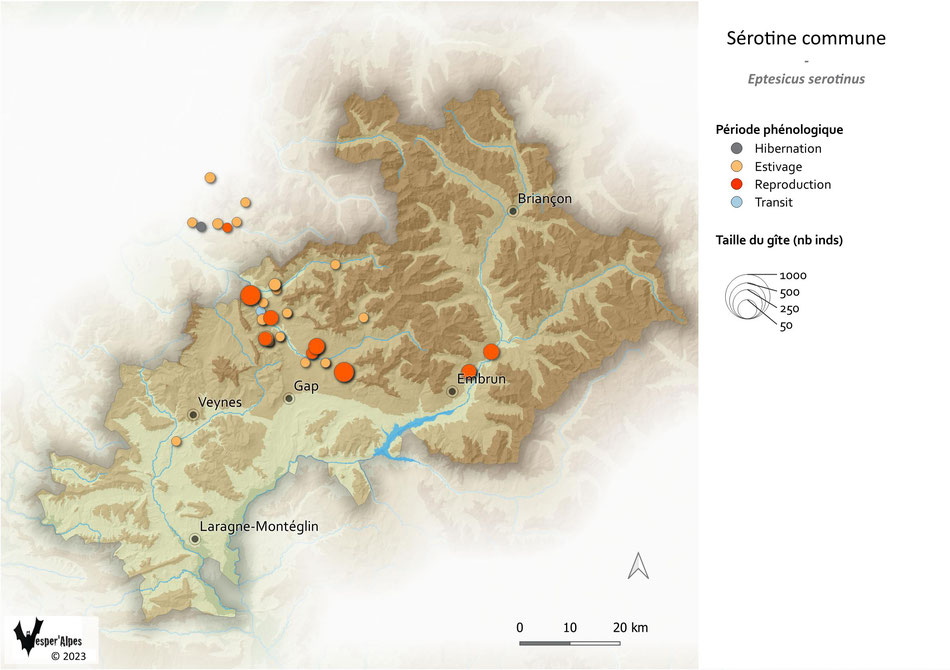 Statut et répartition des gîtes de Sérotine commune connus dans les Hautes-Alpes
