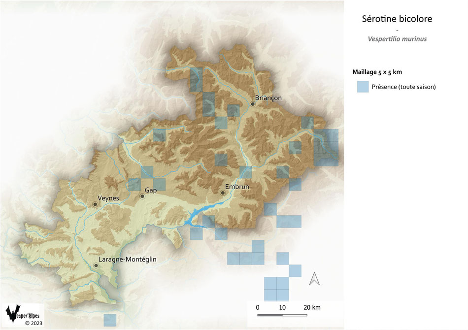 Répartition de la Sérotine bicolore dans les Hautes-Alpes