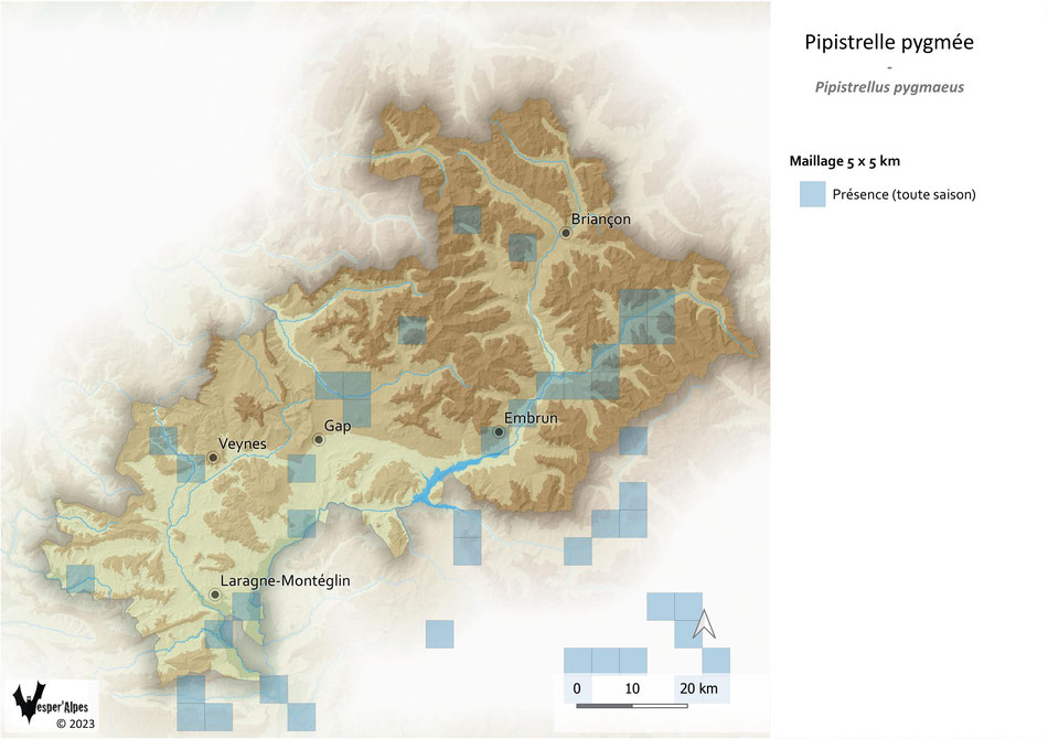 Répartition de la Pipistrelle pygmée dans les Hautes-Alpes