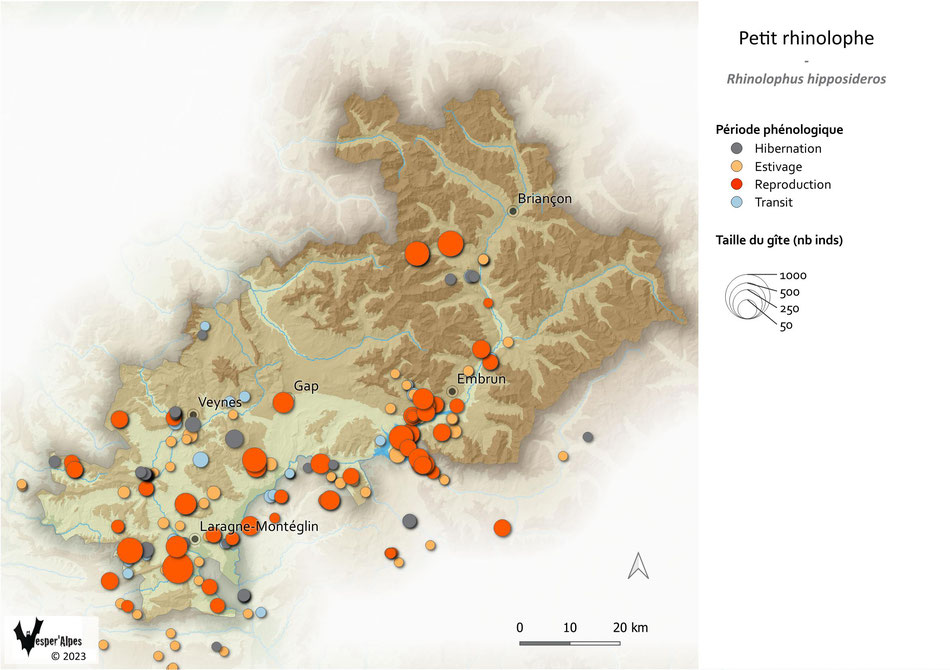 Statut et répartition des gîtes de Petit rhinolophe connus dans les Hautes-Alpes