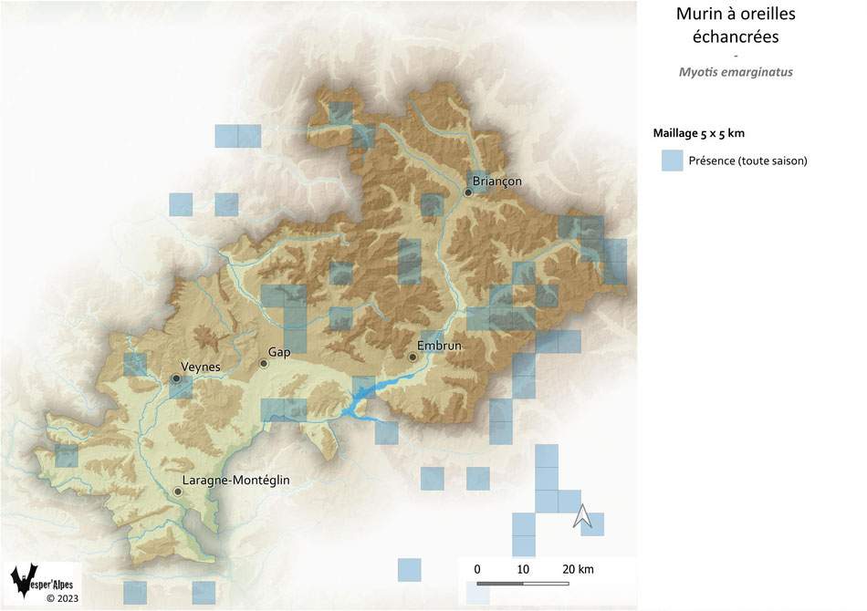 Répartition du Murin à oreilles échancrées dans les Hautes-Alpes