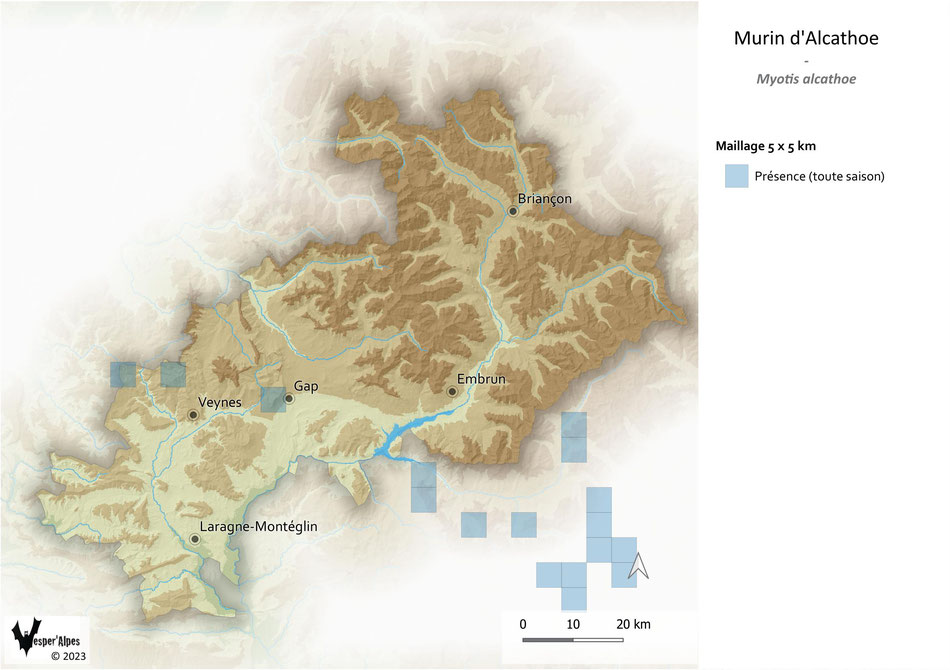 Répartition du Murin d'Alcathoe dans les Hautes-Alpes