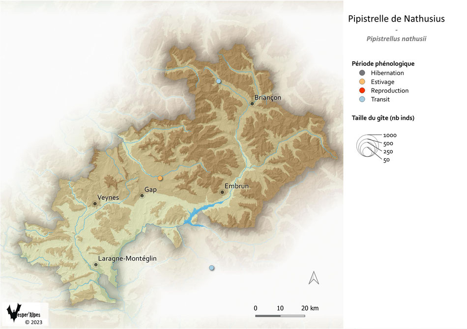 Statut et répartition des gîtes de Pipistrelle de Nathusius connus dans les Hautes-Alpes