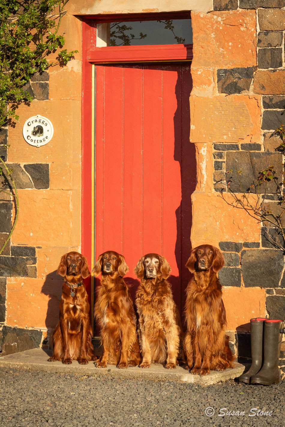 Scottish Borders, 2025: Liška, Kettu, Annie, Rasmus