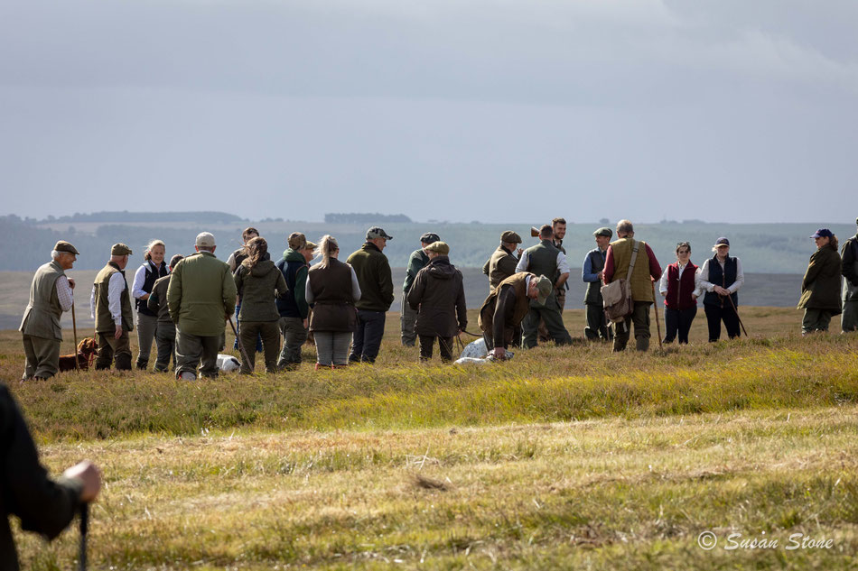 The Gallery on the second day of the Champion Stake