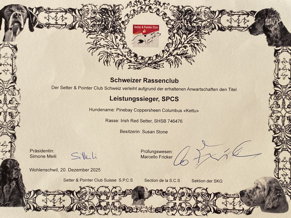Kettu wird Leistungssieger SPCS! Für meinen liebsten Finnischen Fuchs eine gebührende Auszeichung.