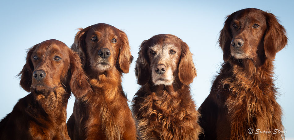 Unsere Familie 
