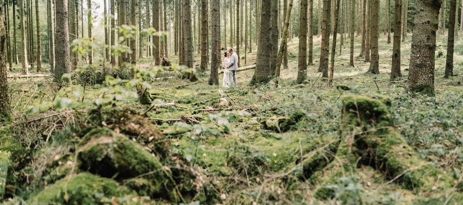 Ein Traupaar in unweiter Ferne im Wald, Moos im Vordergrund des Bildes