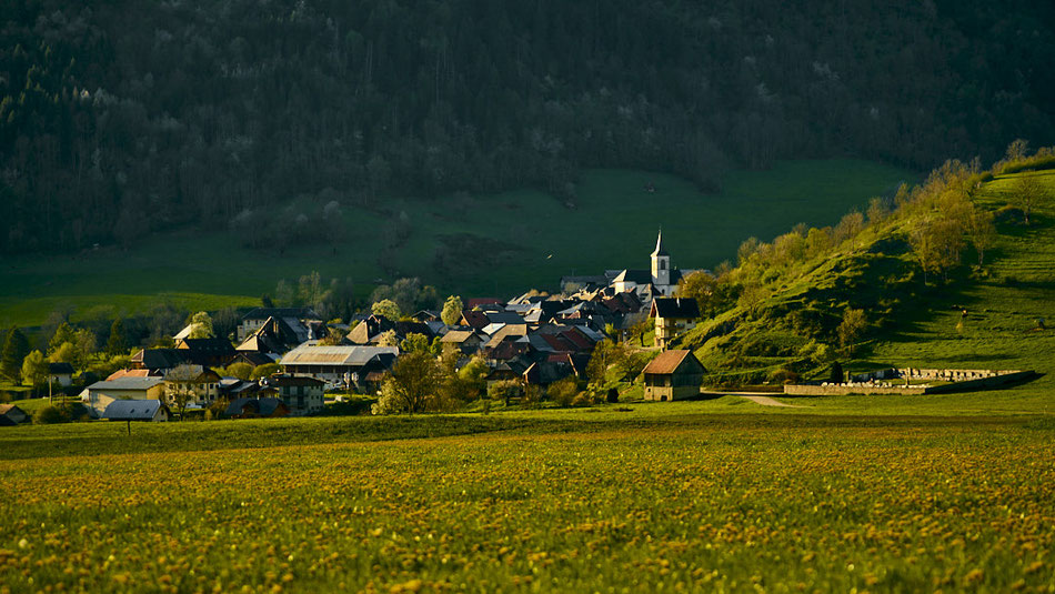 Die Ortschaft La Compôte im harten, abendlichen Streiflicht des Sonnenuntergangs, im Vordergrund eine wilde Blumenwiese.