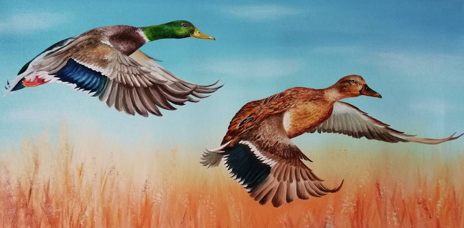 Enten - Fliegende Enten - Ölmalerei - Gemälde