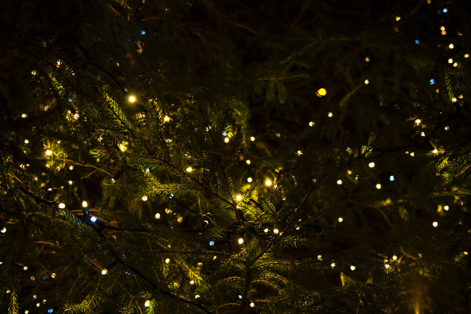 Photo: Joanna Kosinska via Unsplash