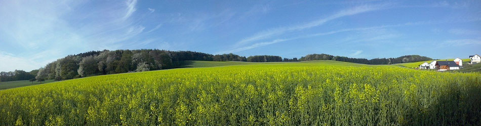 Wir wohnen und arbeiten im wunderschönen Brohltal (Vulkaneifel)