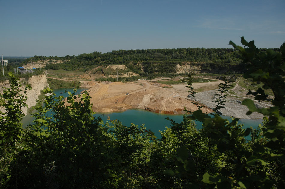 Baggersee für Mainz - Blick auf dem Steinbruch im Jahr 2009 - Foto: © Robert Kindl 23.05.2009