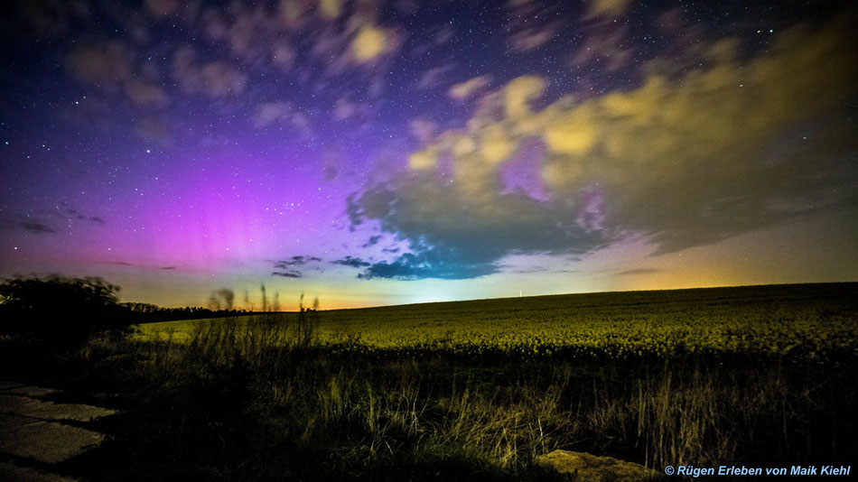 Aurora Borealis über Rapsfeld 2016
