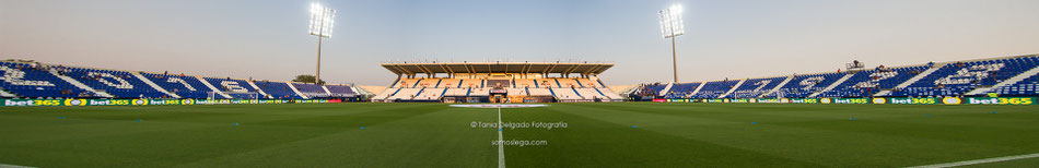 Estadio Municipal de Butarque, Leganés