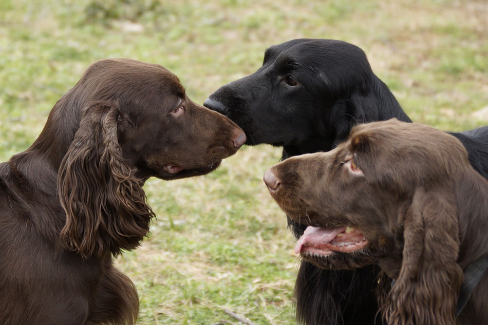 Dorothy trifft Venna und Jett. Noch herrscht Misstrauen. Foto: Ulf F. Baumann