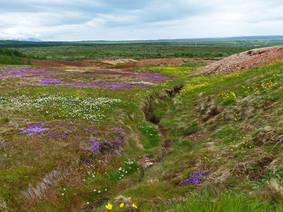 Ein bunter Blütenteppich breitet sich vor der weiten Landschaft aus.