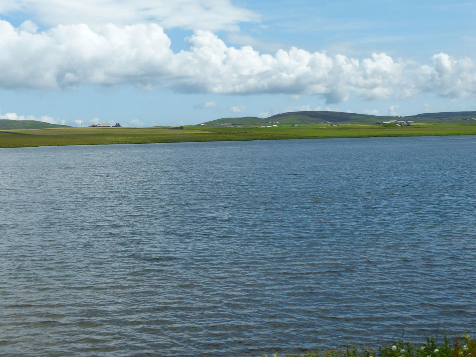 Loch of Harray:  Der Loch of Harray und der Loch of Stenness sind die beiden größten Seen der Orkneyinseln in Schottland. Loch of Harray ist an der Brücke von Brodgar mit dem Loch of Stenness verbunden und enthält vorwiegend Süßwasser.