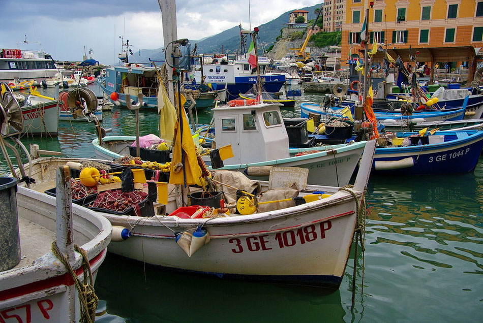 Camogli / Fischerboote im Hafen