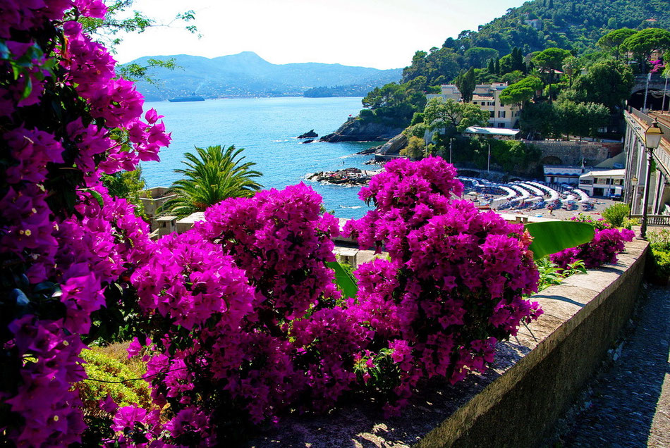 Zoagli 2012__Aussicht auf Strand und Santa Margherita Ligure
