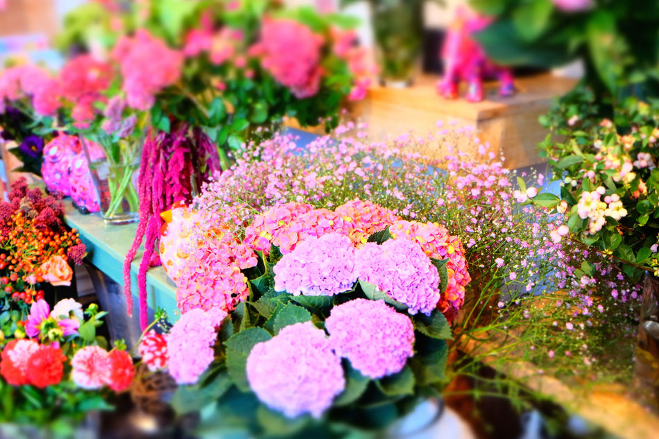Stielecht Florist Köln Ehrenfeld