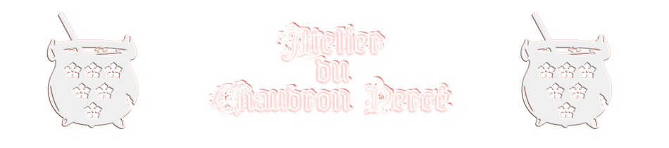 Site de auchaudronperce !