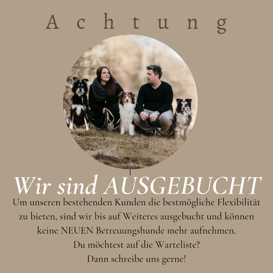 Tagesbetreuung, Ferienbetreuung, Hundepension