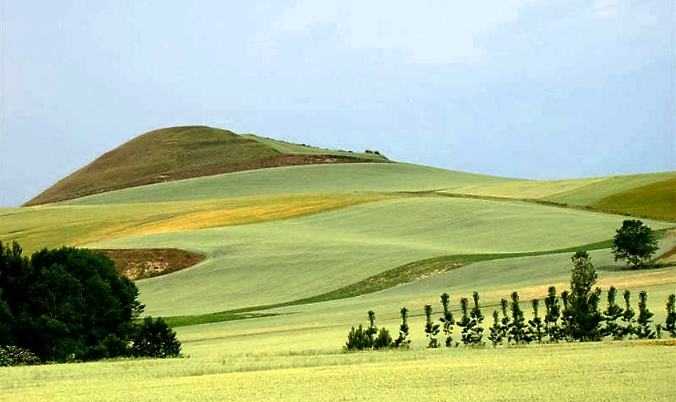 #caminodesantiago