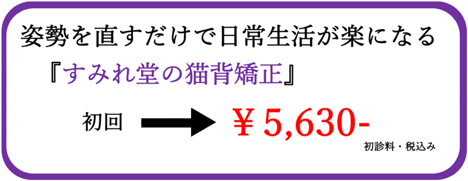 猫背矯正の値段