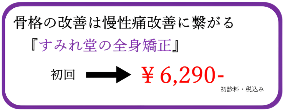 すみれ堂整骨院の料金