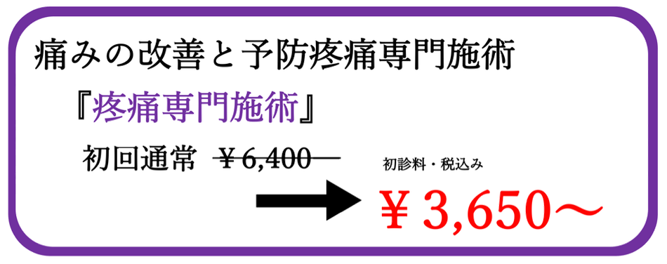 すみれ堂整骨院の料金