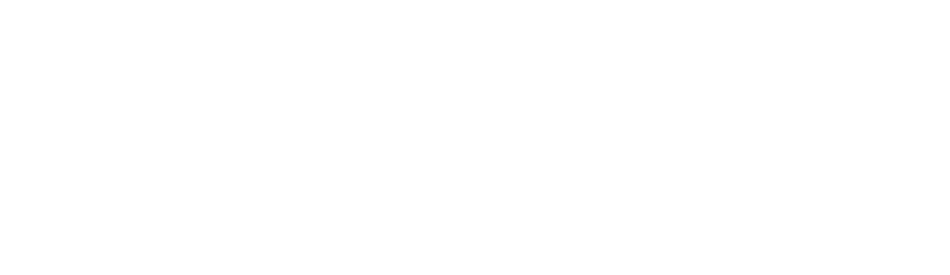 die Lisa Walther