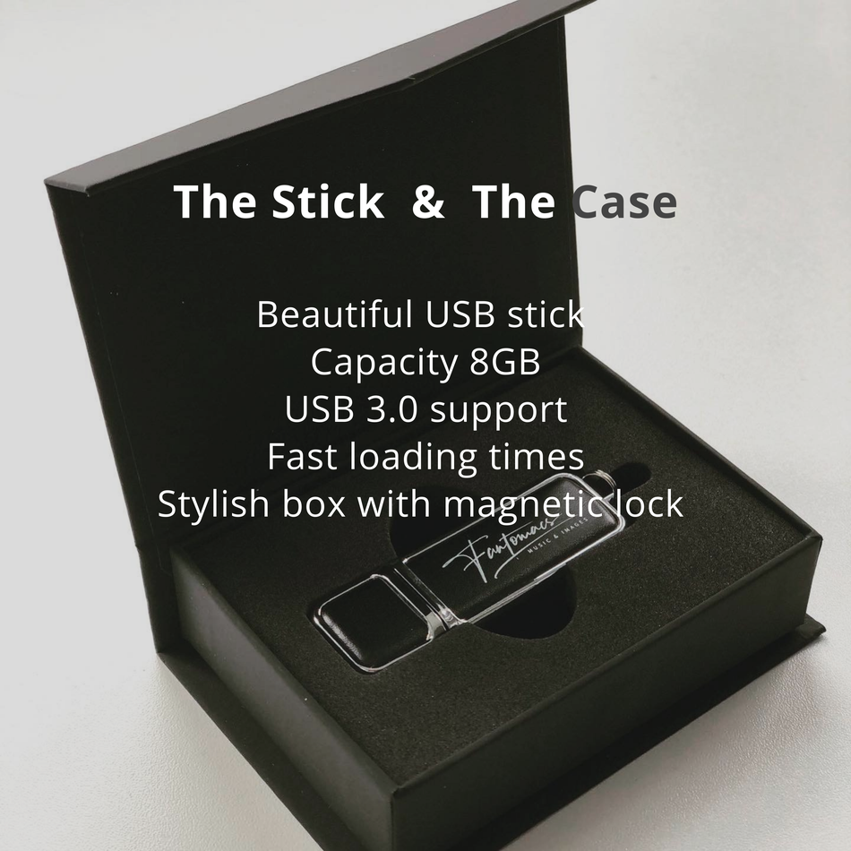 USB-stick & case