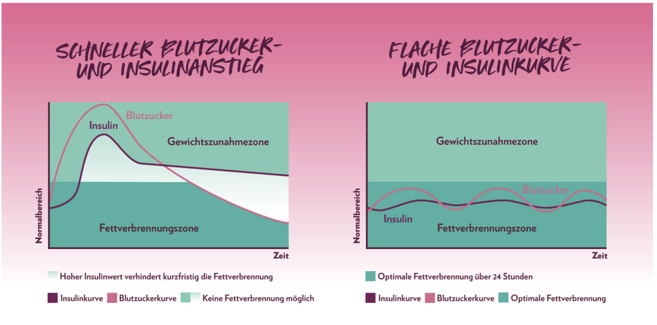 Blutzuckerkurve und Insulinkurve bei Nahrungsaufnahme (Quelle: www.gymqueen.de)