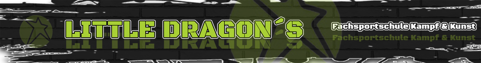 Unser Little Dragon Unterricht bezieht sich auf Vorschulkinder, welche spielerisch leicht an den Kampfsport herangeführt werden.