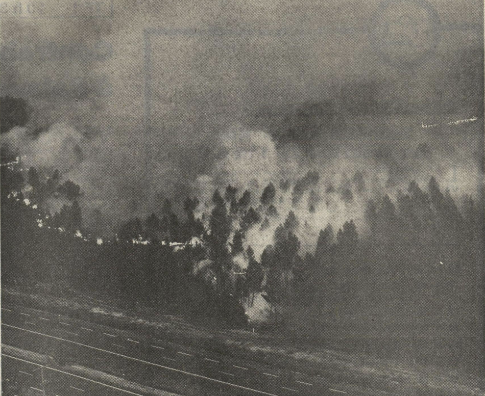 L'incendie s'était déclenché par un temps sec, sur la commune du nord des Landes./Crédit photo Archives Sud Ouest.